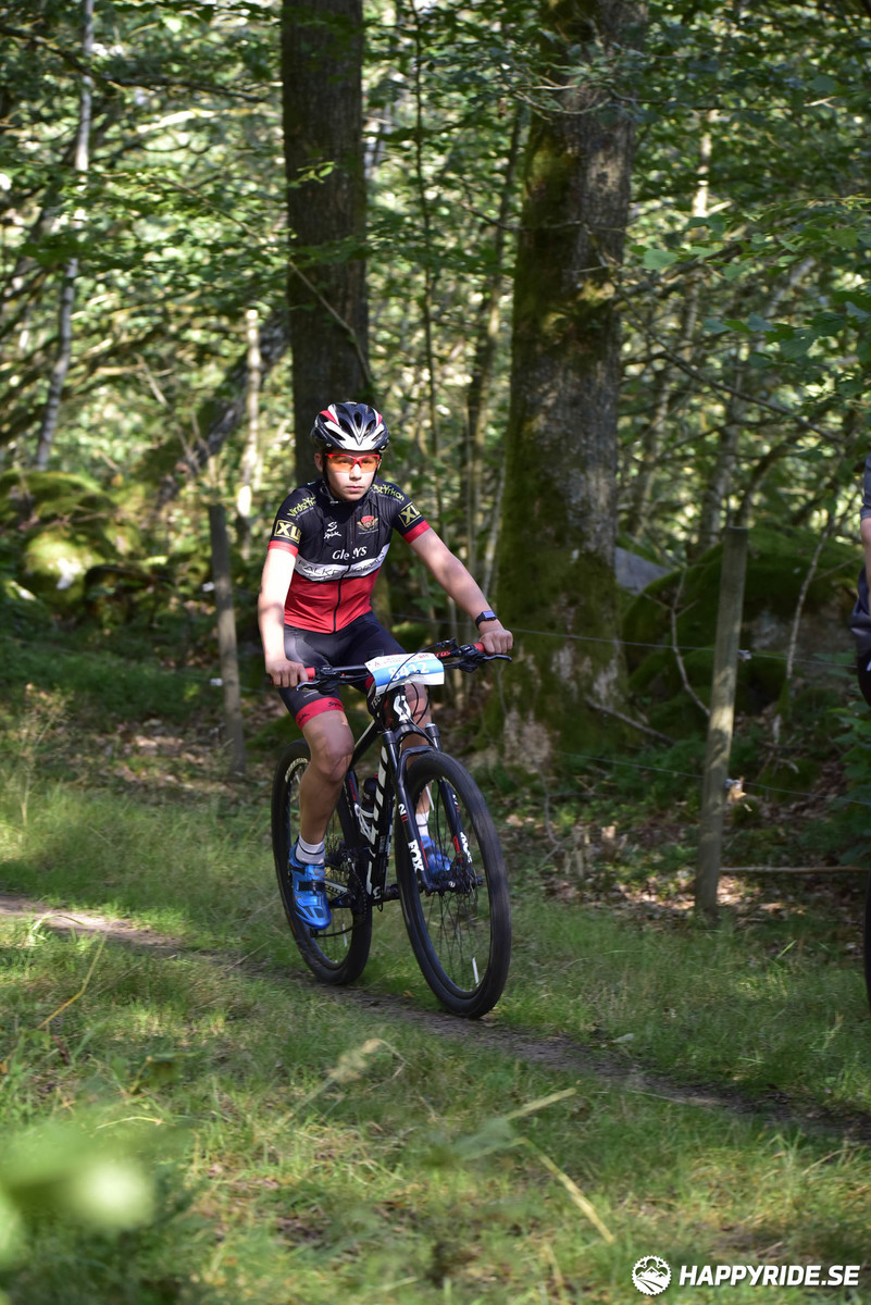 Bild från Bockstensturen 2019